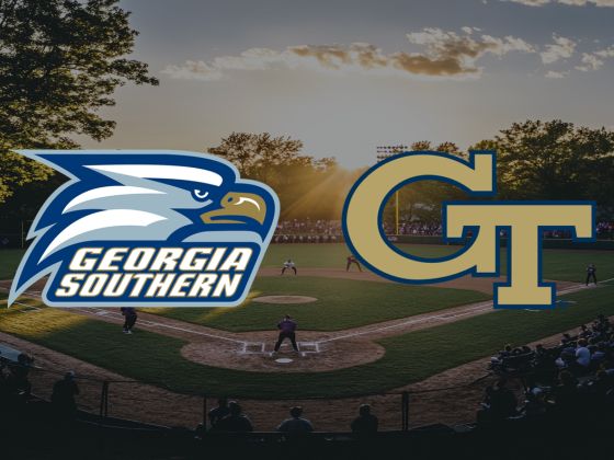 Georgia Tech Yellow Jackets vs. Georgia Southern Eagles